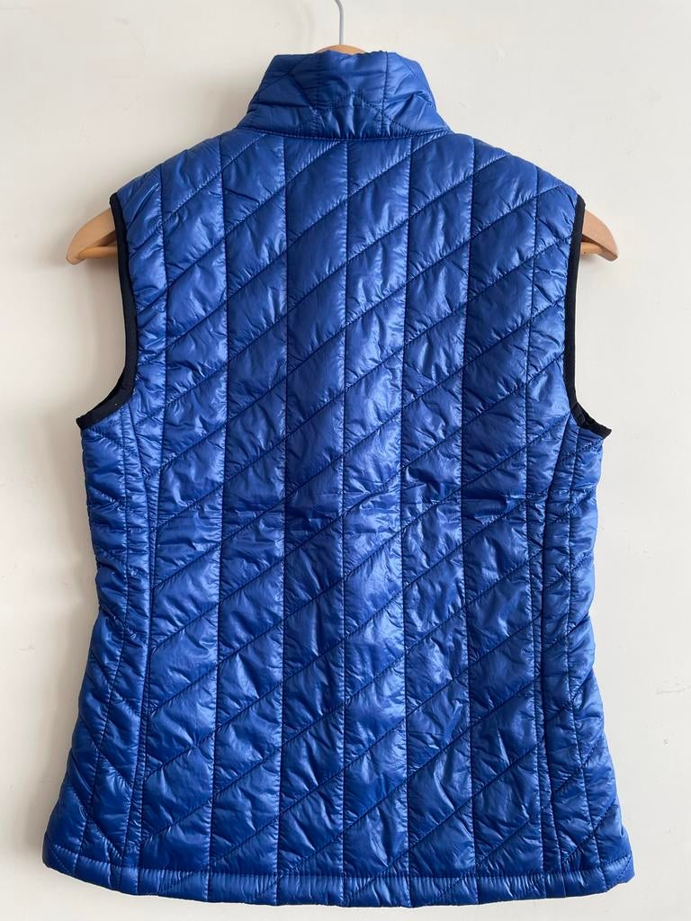 Nieuwe Gaastra Bodywarmer Electric Blue Maat XS, Kleding | Dames, Bodywarmers, Ophalen of Verzenden, Nieuw, Maat 34 (XS) of kleiner