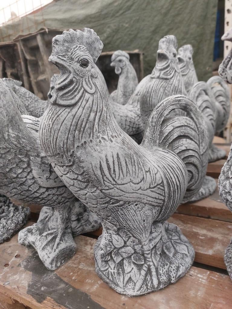 Kippen en Hanen, Ophalen, Nieuw, Beton, Dierenbeeld