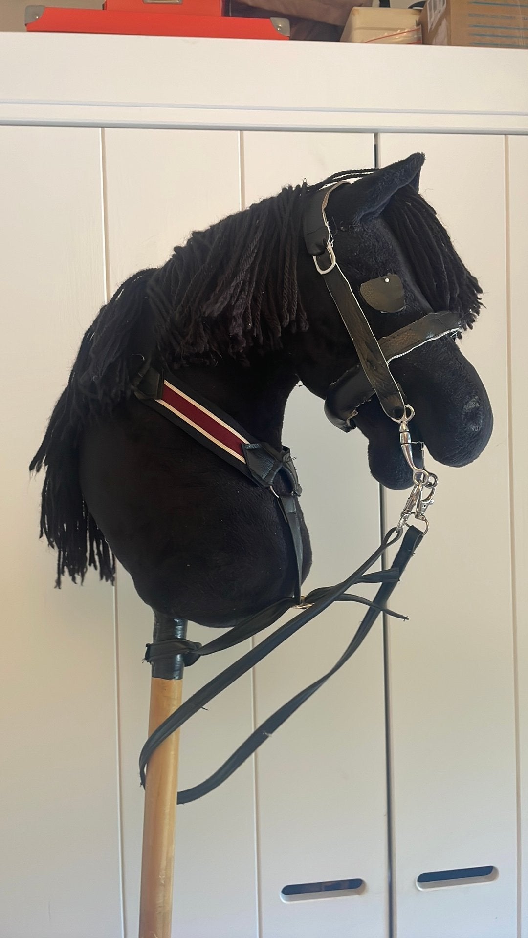 Hobby horse met accessoires, Dieren en Toebehoren, Ophalen of Verzenden, Zo goed als nieuw