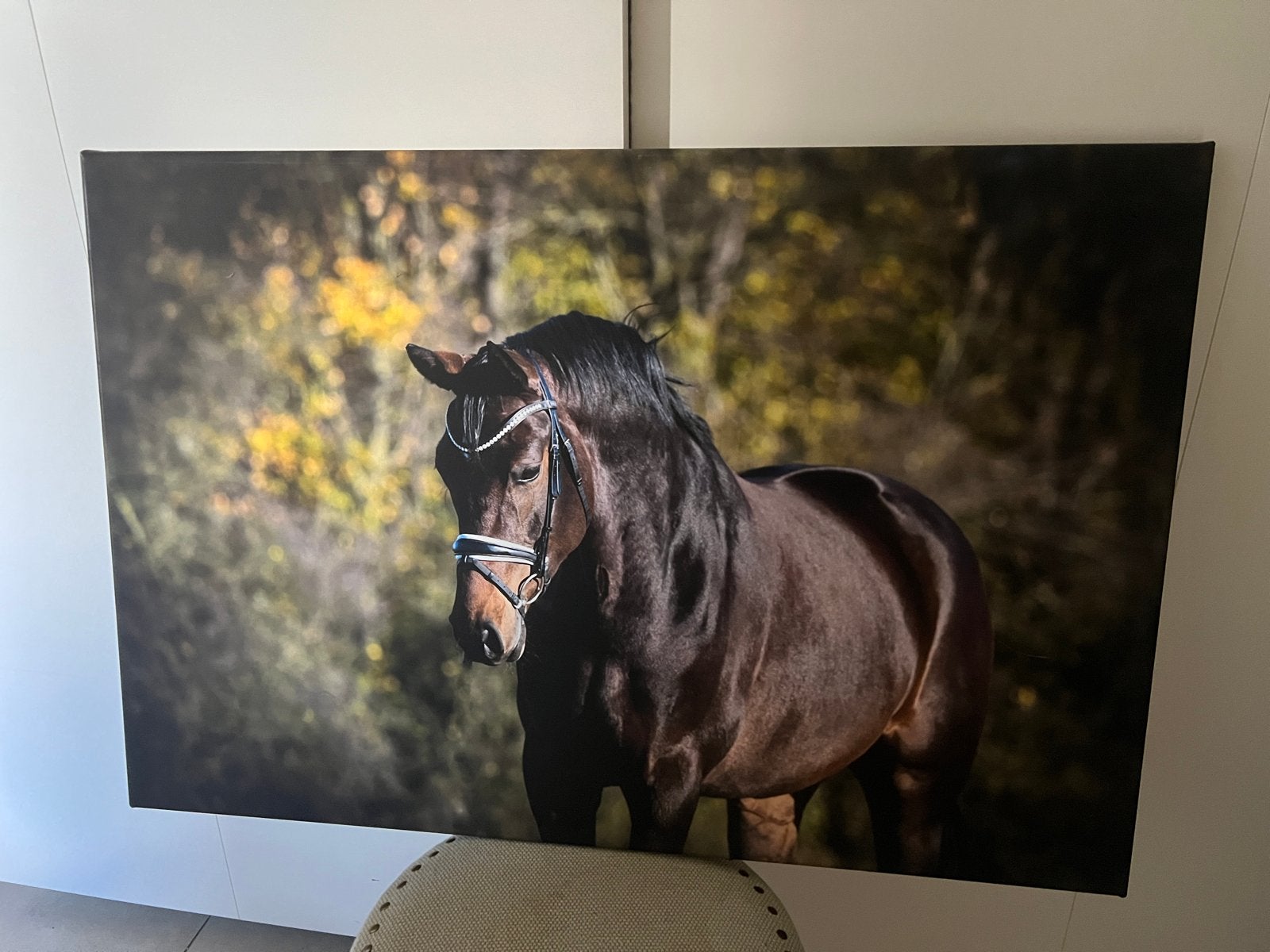 Prachtig Canvas Schilderij van Paard, 50 – 75, Ophalen of Verzenden, Zo goed als nieuw, Schilderij
