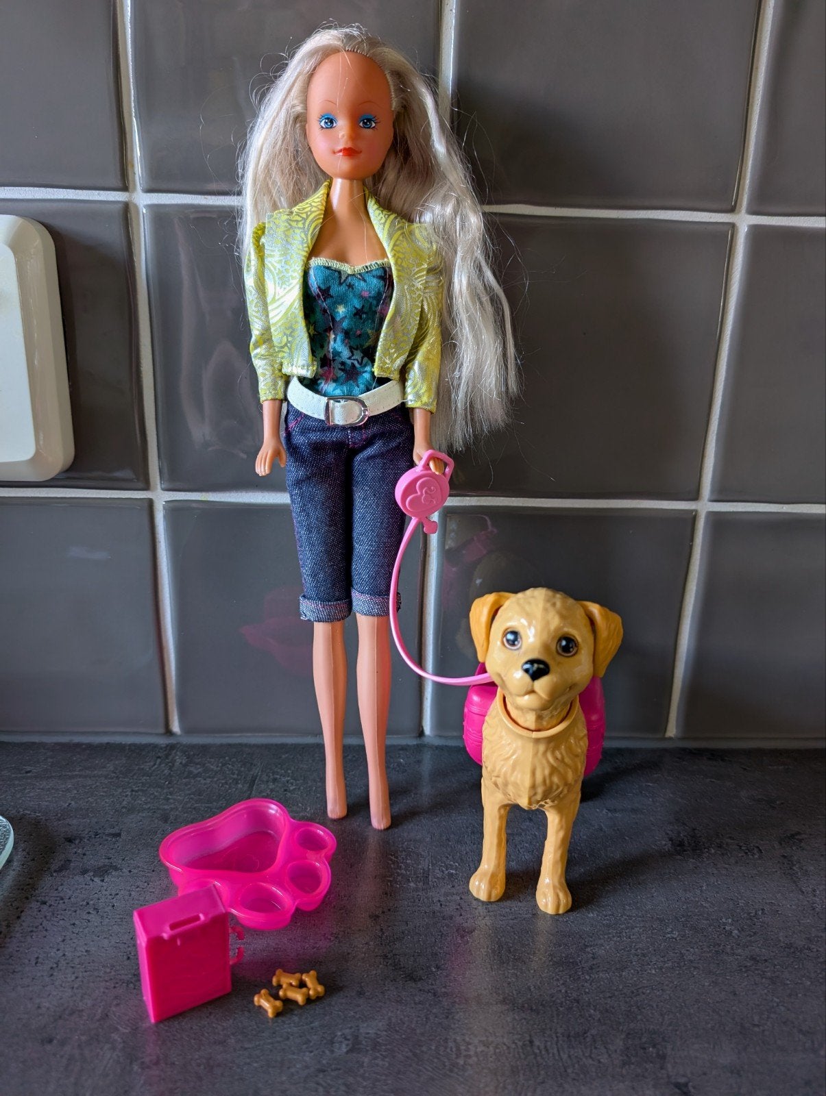 Barbie met hond, brokjes en koffertje, Ophalen, Barbie