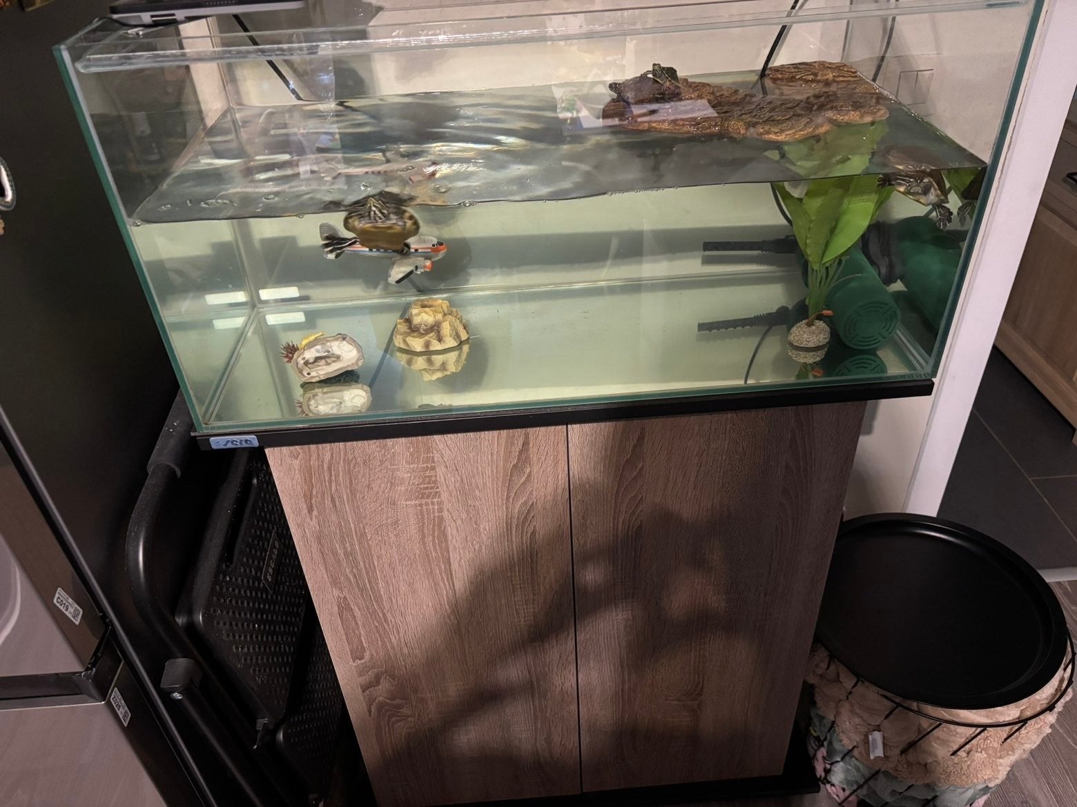 Aqarium met schildpadden, Dieren en Toebehoren, Ophalen, Zo goed als nieuw, Leeg aquarium