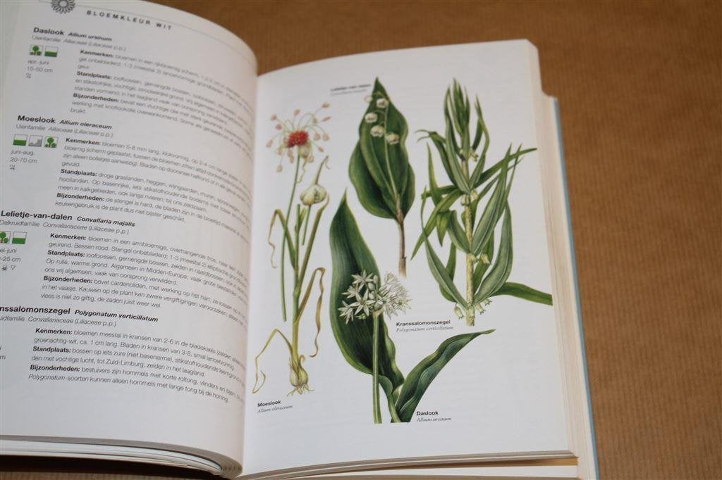 Wat bloeit daar? Gids van de bloeiende planten..., Boeken, Natuur, Ophalen of Verzenden, Gelezen, Bloemen, Planten en Bomen