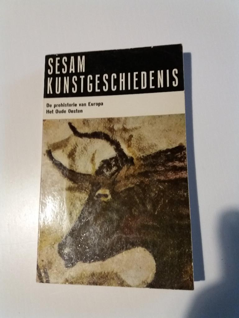 Complete serie Sesam Kunstgeschiedenis, 18 delen, Ophalen of Verzenden, Gelezen