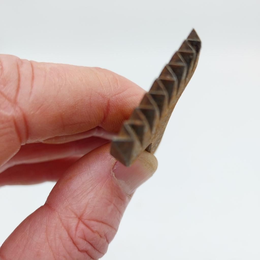 Boekbinders gereedschap (ML), Ophalen of Verzenden