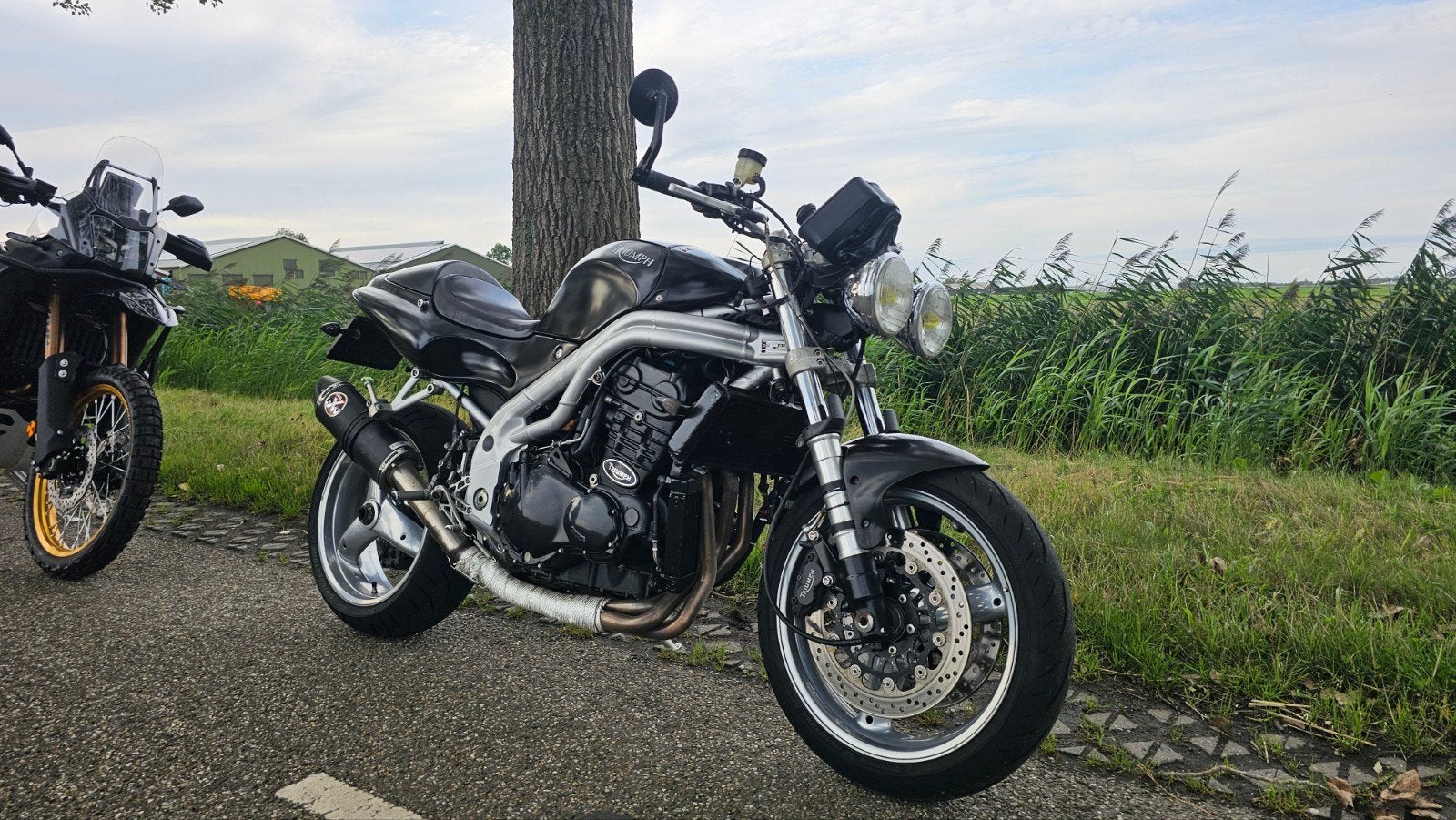 Triumph Speed Triple 1997, Motoren, Gebruikt, Particulier, Meer dan 35 kW, Naked bike