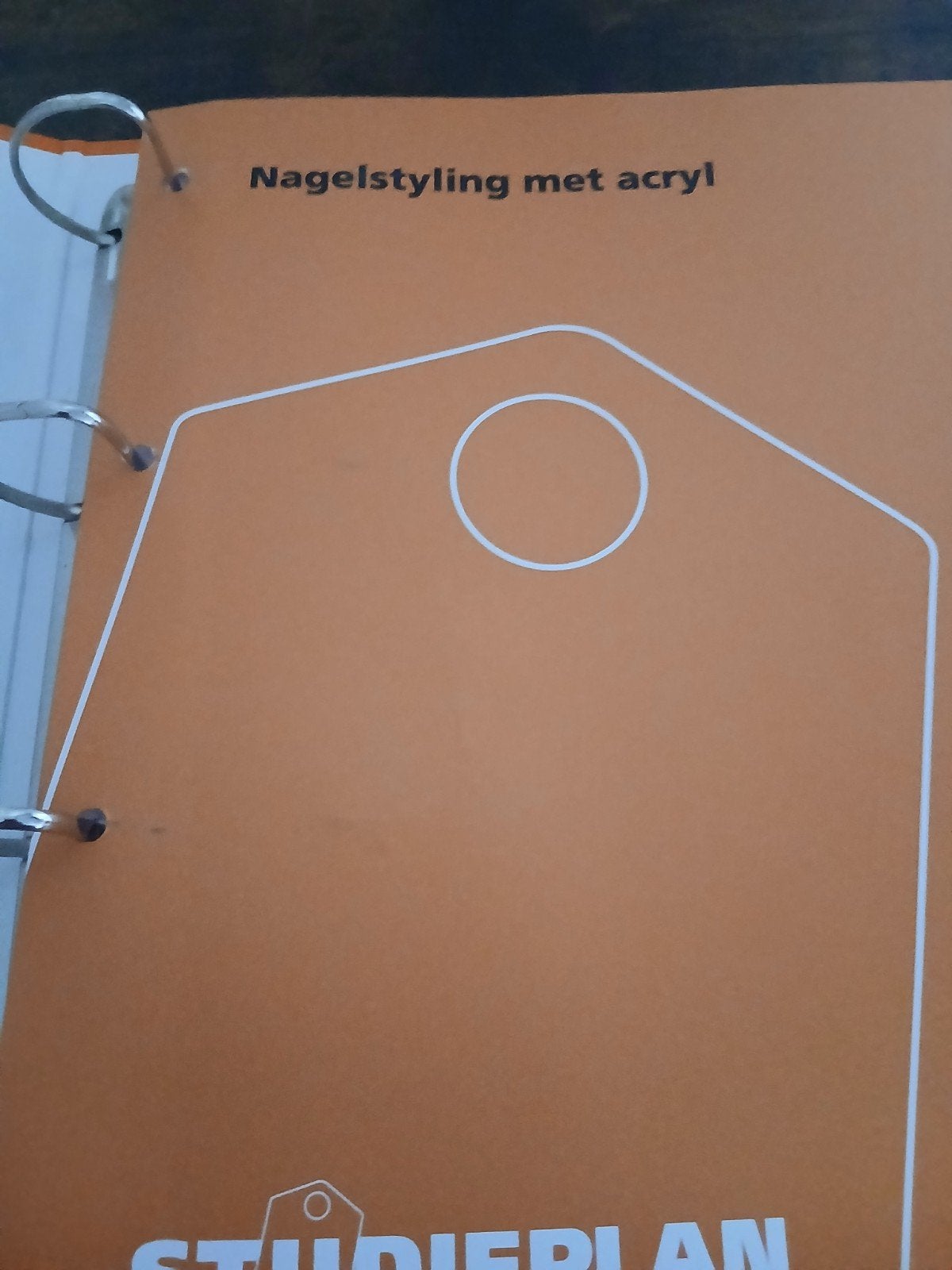 nagelstyling met acryl, Ophalen of Verzenden, Alpha, Gelezen, Niet van toepassing