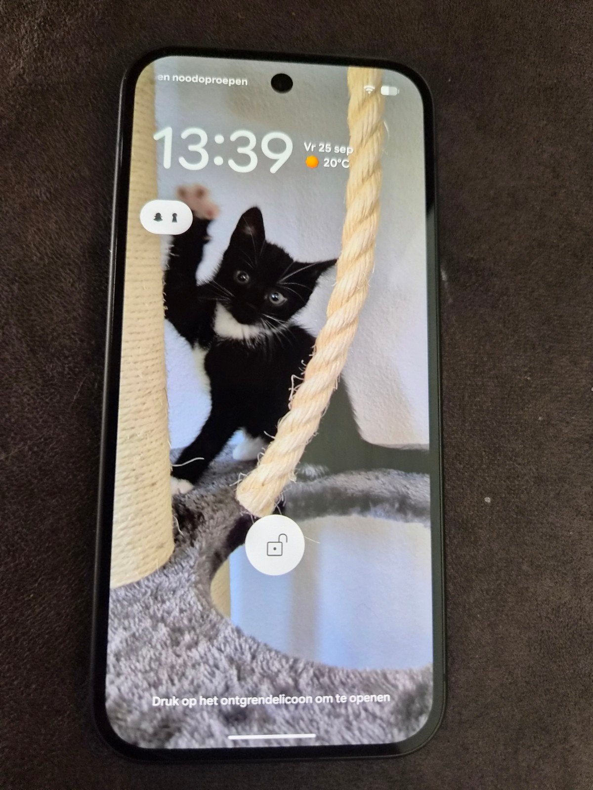 Google pixel 10