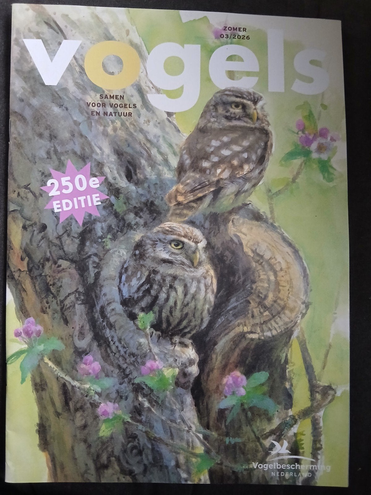 Vogels Tijdschrift, Ophalen of Verzenden, Zo goed als nieuw, Wetenschap en Natuur