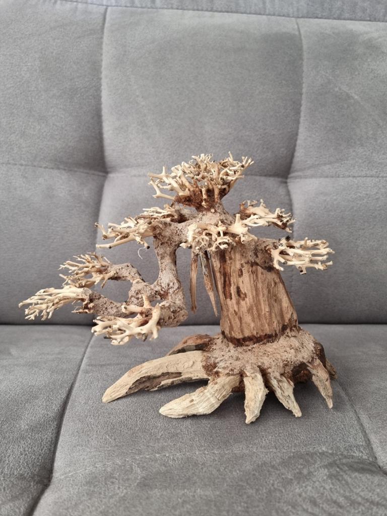 Bonsai boom decorstie (NIEUW), Ophalen of Verzenden, Nieuw, Plant(en), Steen of Hout