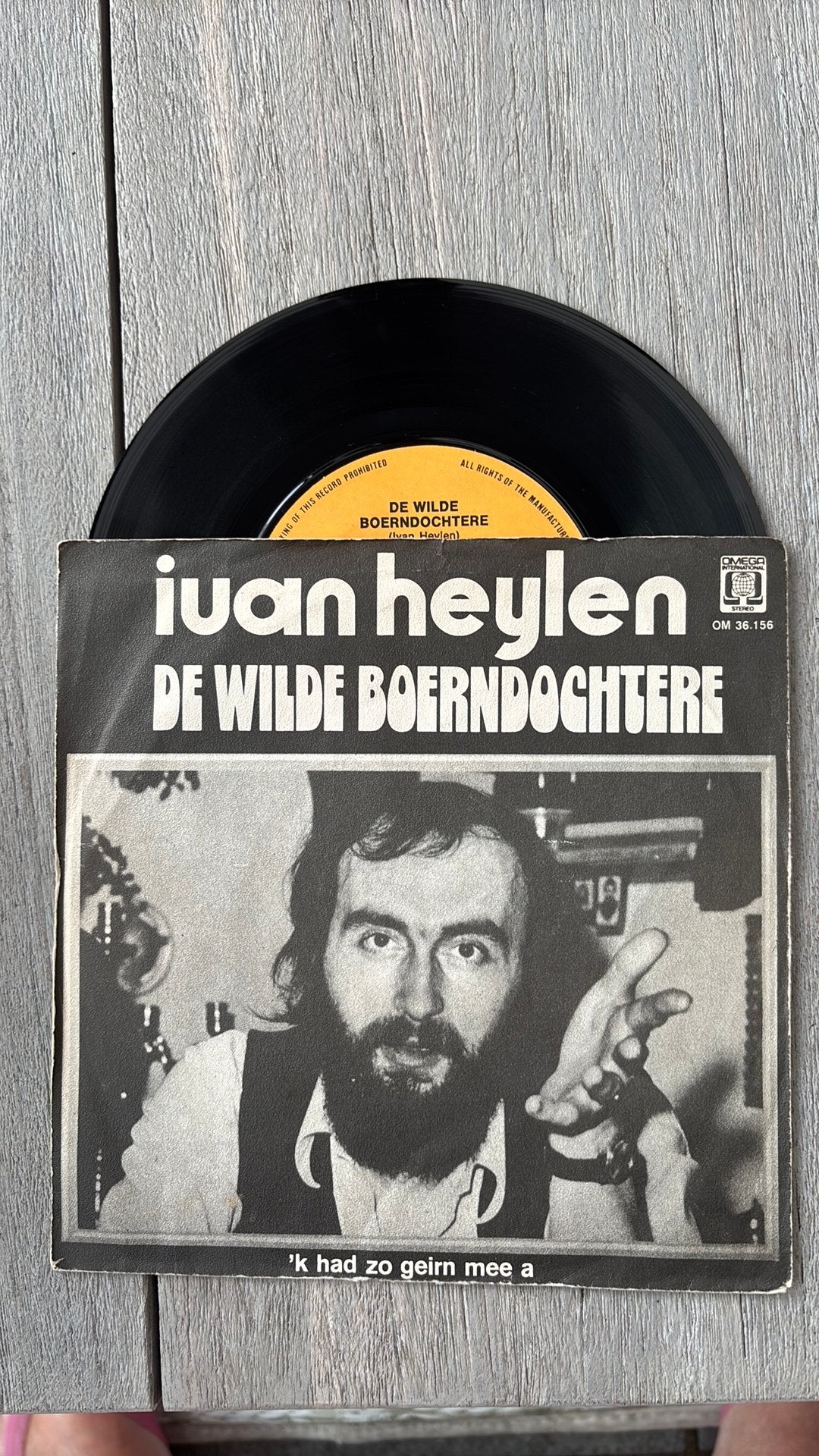 Ivan Heylen  - De wilde boerendochter, Cd's en Dvd's, Ophalen of Verzenden, Zo goed als nieuw, Nederlandstalig
