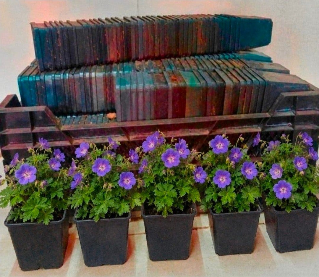diverse kweekpotten plantenpotten bloempotten p9 9x9x10 cm, Gebruikt, Vierkant, Ophalen of Verzenden, Nvt