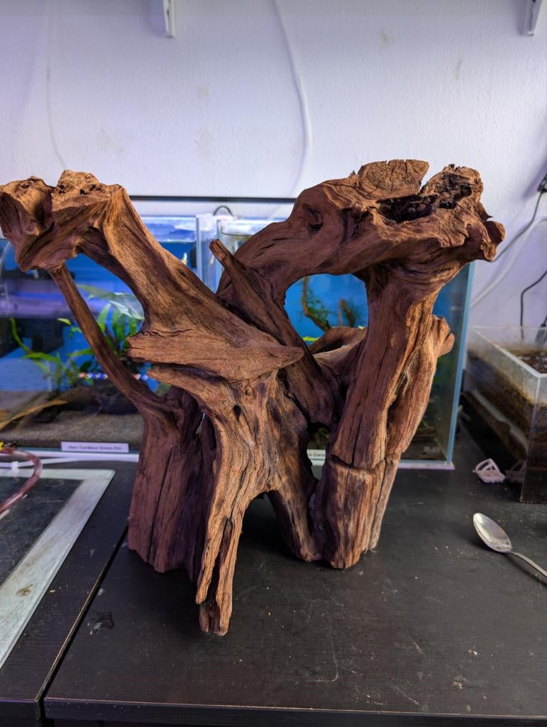 Driftwood, groot stuk, Ophalen of Verzenden, Plant(en), Steen of Hout