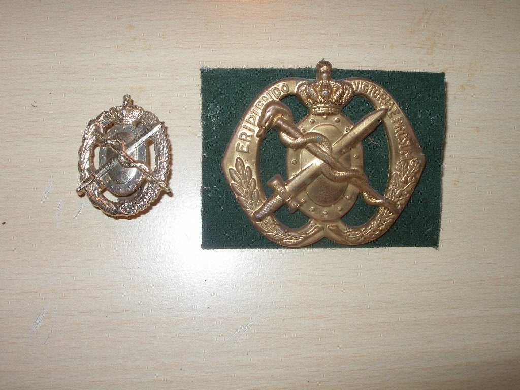 Emblemen Geneeskundige Troepen, Verzamelen, Militaria | Algemeen, Ophalen of Verzenden, Landmacht, Nederland, Embleem of Badge