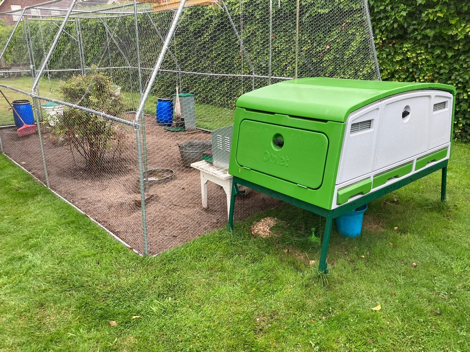 Compleet pakket! Beginnen met 10 kippen OMLET PRO!!!, Dieren en Toebehoren, Ophalen, Zo goed als nieuw
