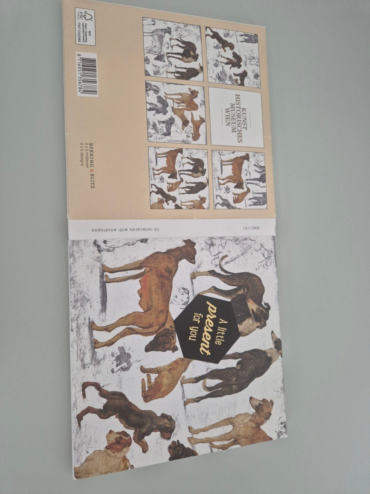 10 kaarten en enveloppen in giftset, honden Jan Brueghel,, Ophalen of Verzenden, Nieuw