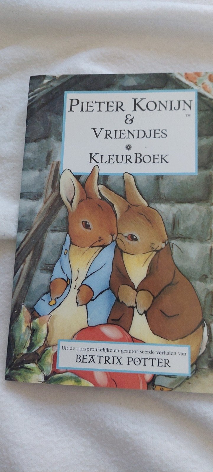 KLEIN KLEURBOEKJE PIETER KONIJN EN VRIENDJES, BEATRIX POTTER, Ophalen of Verzenden