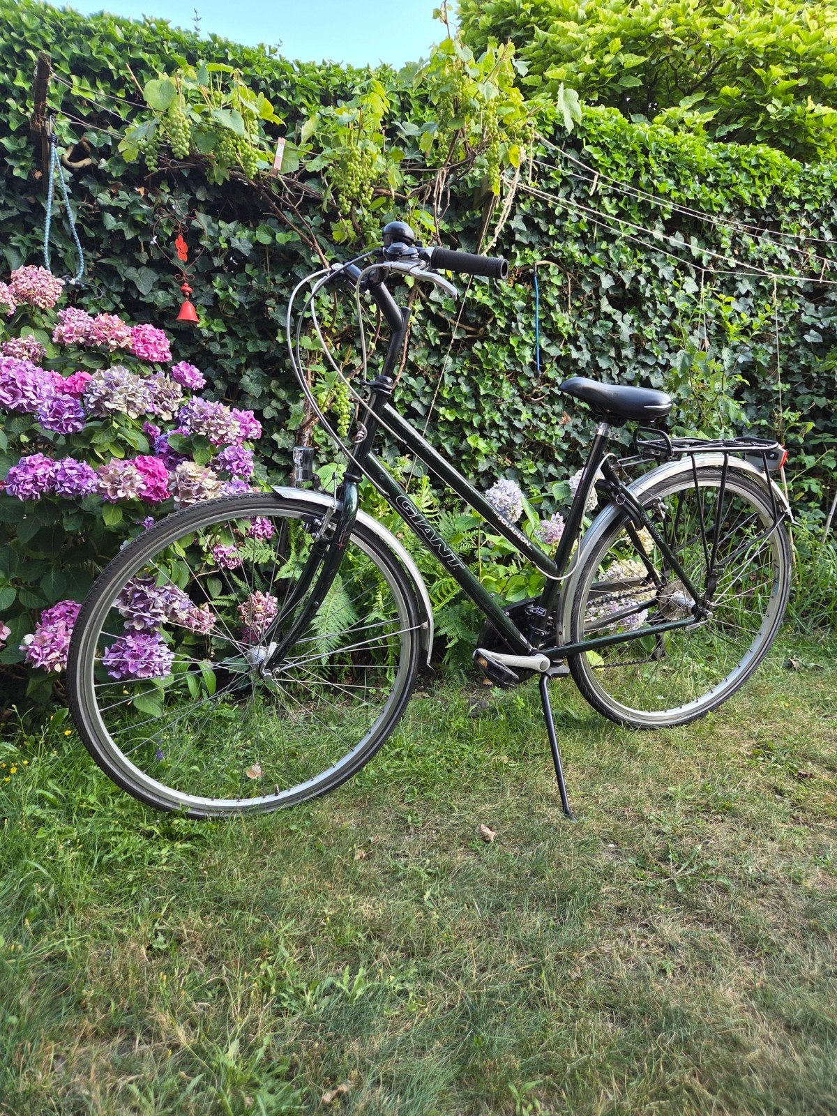 Giant Damesfiets, Ophalen, 53 tot 56 cm, Giant, Zo goed als nieuw