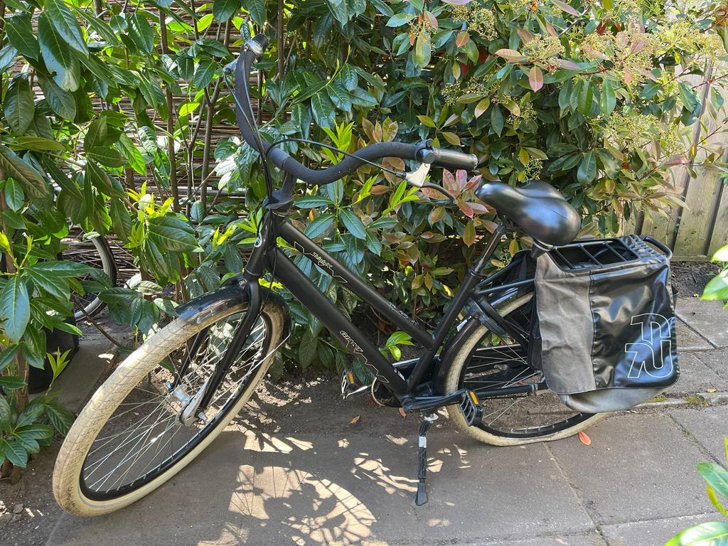 Giant Triplex damesfiets - Achterband moet geplakt, Ophalen, Gebruikt, 47 tot 50 cm, Versnellingen