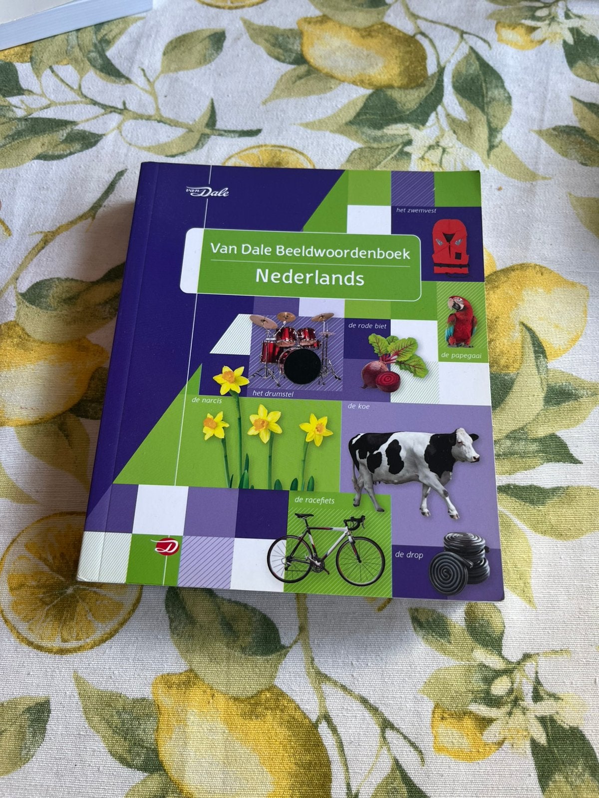 Van dale beeldwoordenboek, Ophalen of Verzenden, Alpha, Zo goed als nieuw