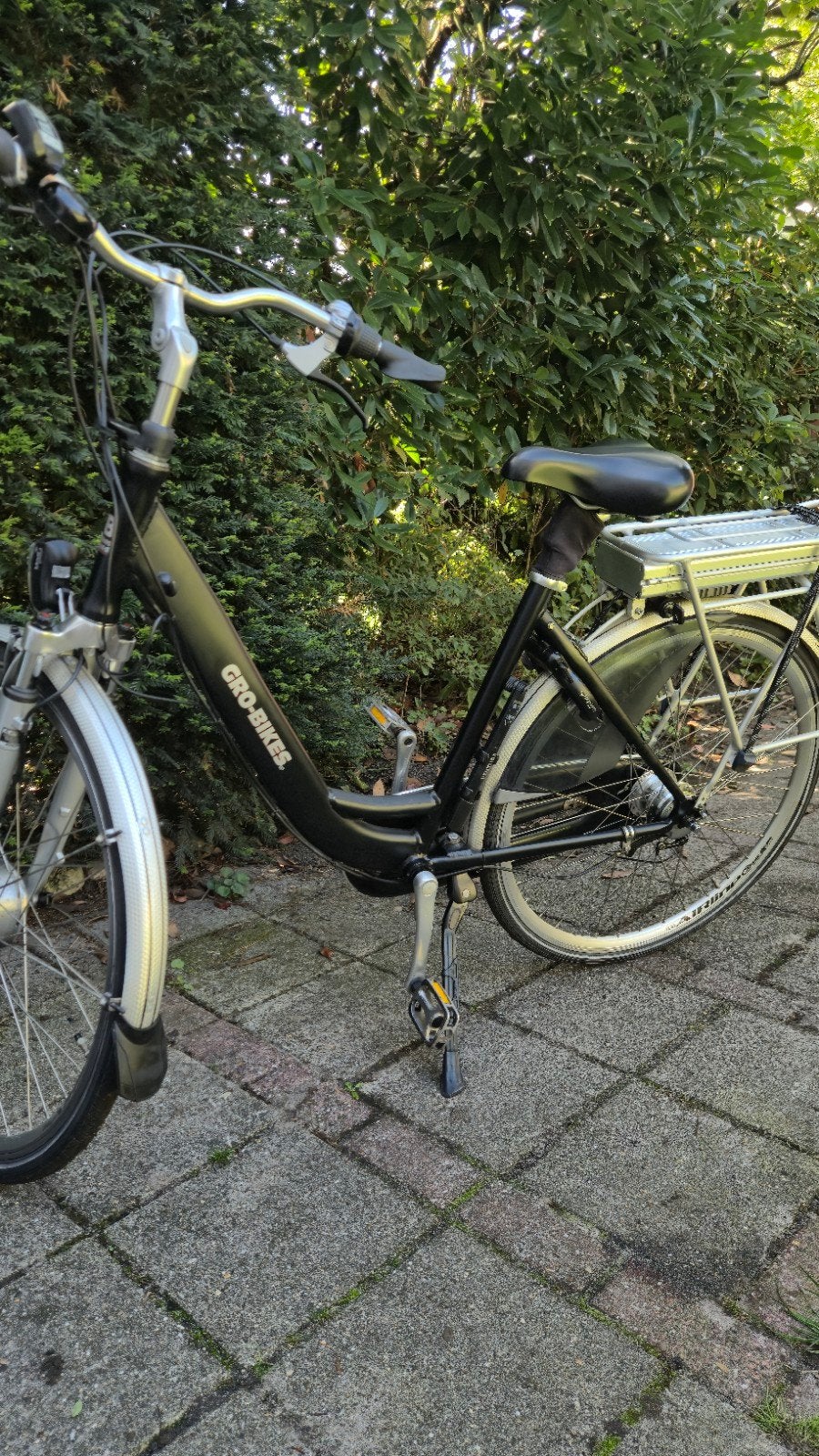 Elektrische fiets, Fietsen en Brommers, Elektrische fietsen, Ophalen