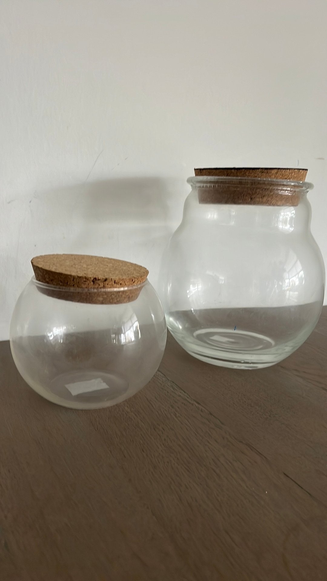 Planten Terrarium 2x HEMA, Ophalen of Verzenden, Zo goed als nieuw