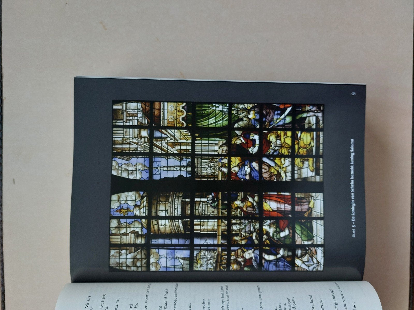 De Goudse Bijbel - Speciale Editie - Als nieuw, Ophalen of Verzenden, Pieter Oussoren
