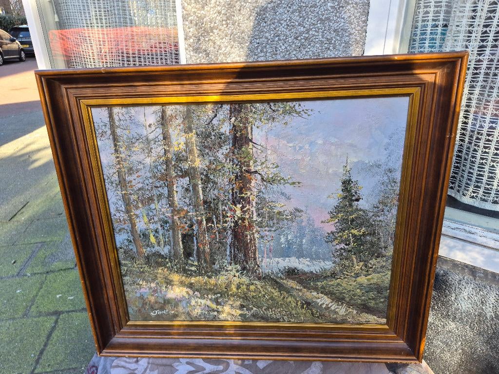 Olieverf schilderij, landscha bos van JonFS, TonFS?, Ophalen