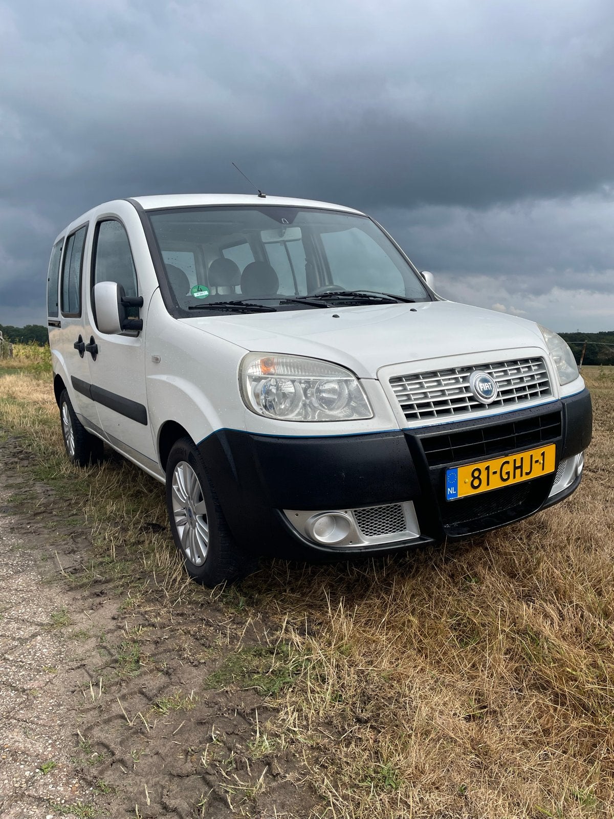 Fiat Doblo 1.4 2008 Wit 5 Persoons, Voorwielaandrijving, Stof, Doblo, Wit