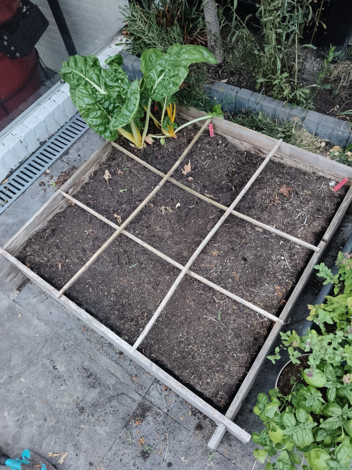 Moestuinbak 1x1 meter inclusief grond en zaadjes, Ophalen, Gebruikt, Kweekbak