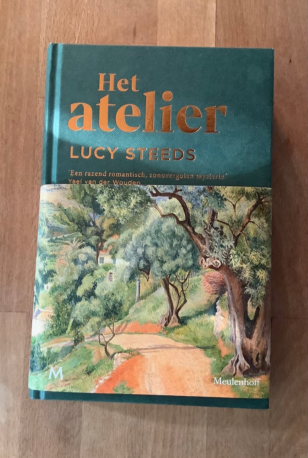 Het atelier  - Lucy Steeds, Ophalen of Verzenden, Zo goed als nieuw