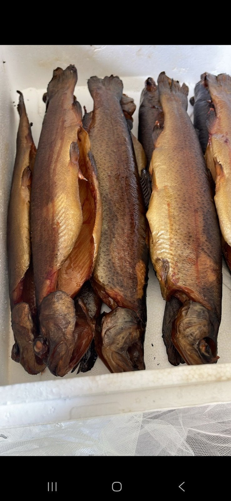 Te koop gerookte forel, Karper of Koi