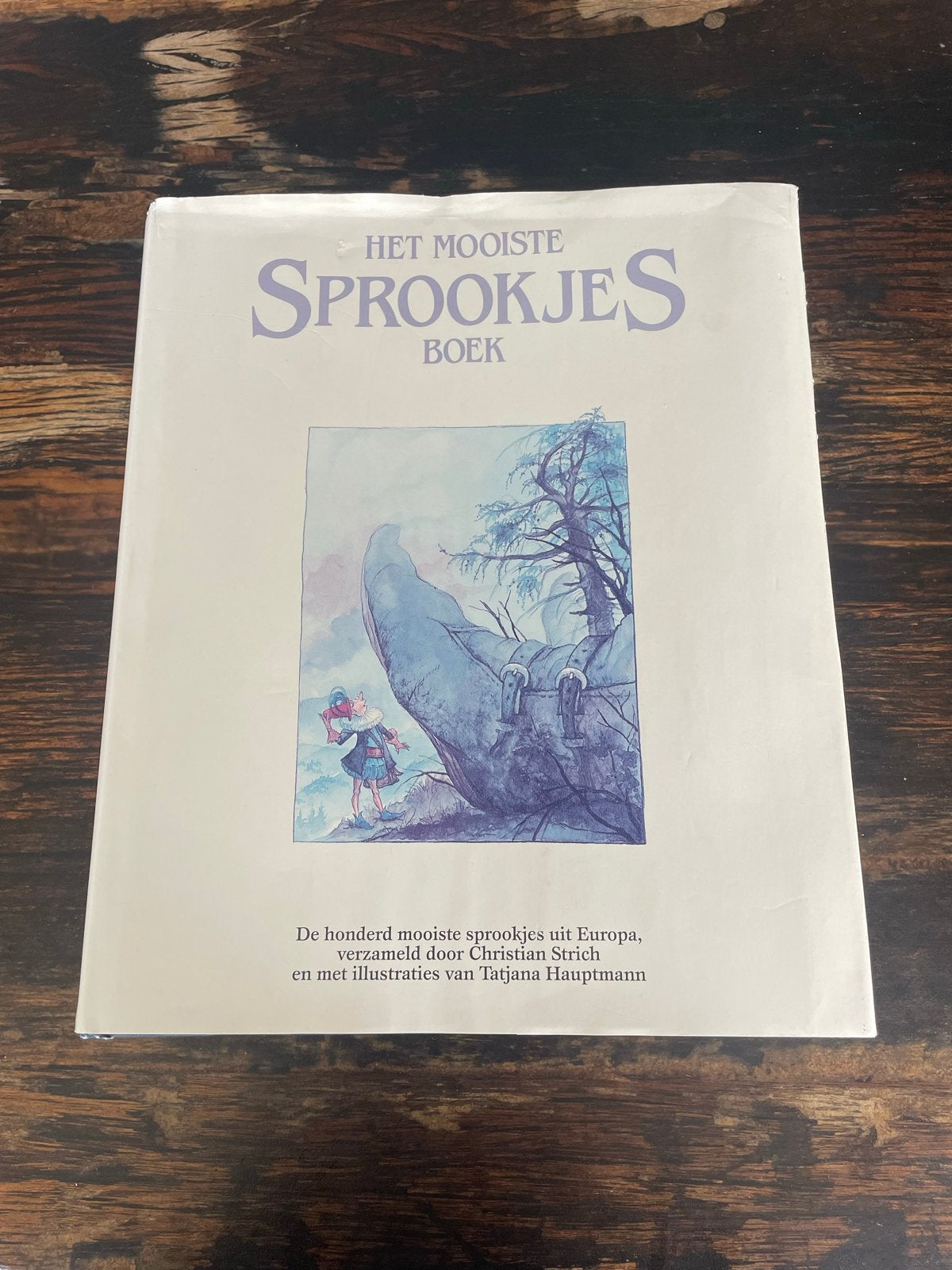 Het Mooiste Sprookjesboek - Christian Strich blz.663, Boeken, Ophalen of Verzenden, Gelezen