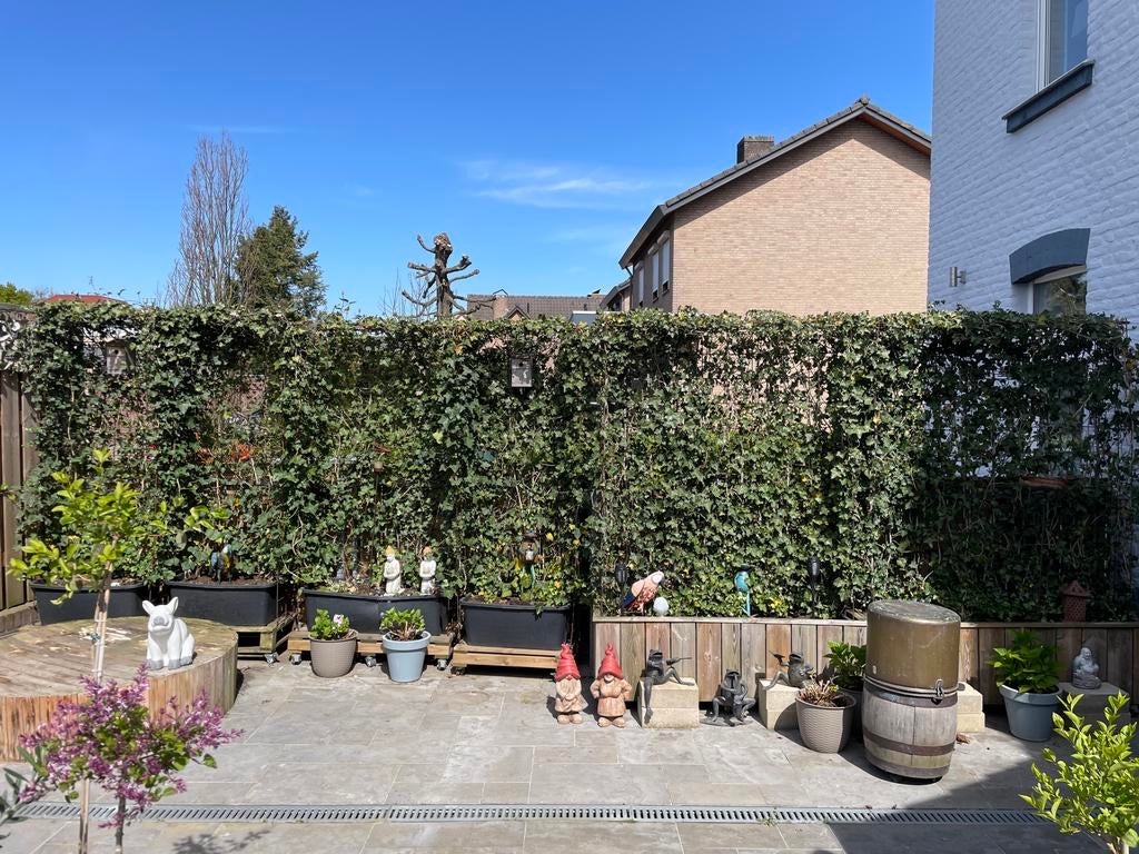 Tuinafscheiding diverse bloembakken met klimop verplaatsbaar, Tuin en Terras, Bloembakken en Plantenbakken, Ophalen, Gebruikt