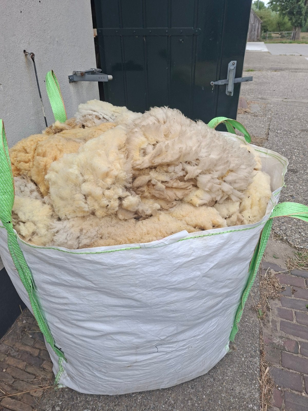 Schapenwol, Dieren en Toebehoren, Meerdere dieren, Schaap