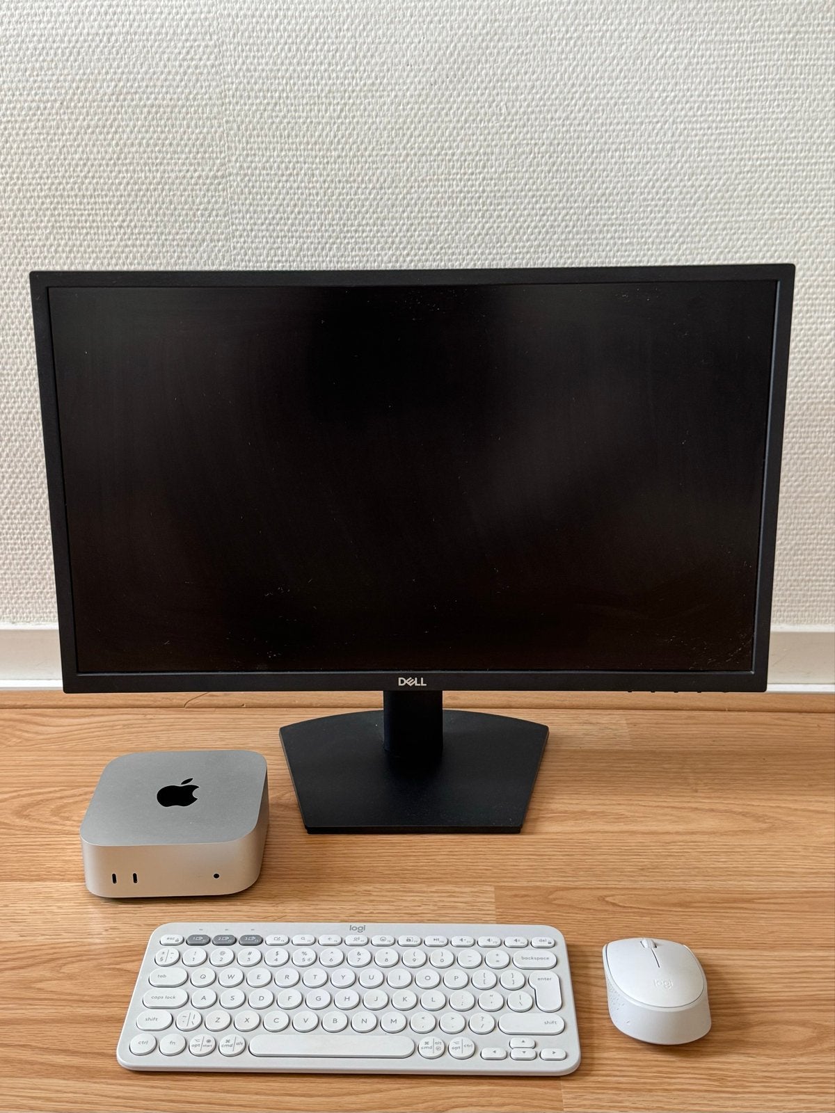 M4 Mac mini setup(16GB RAM / Dell Monitor / Logitech), Computers en Software, Apple Desktops, Zo goed als nieuw, Mac Mini, SSD