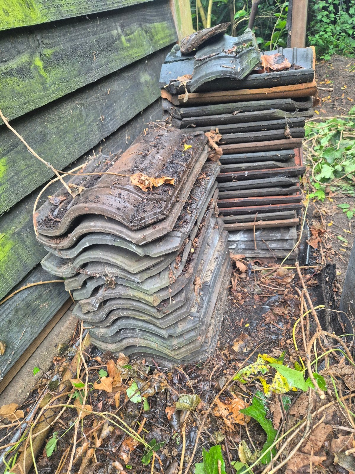 GRATIS AFHALEN,  DAKPANNEN, Ophalen, Steen of Klei, 15 m² of meer, Dakpannen