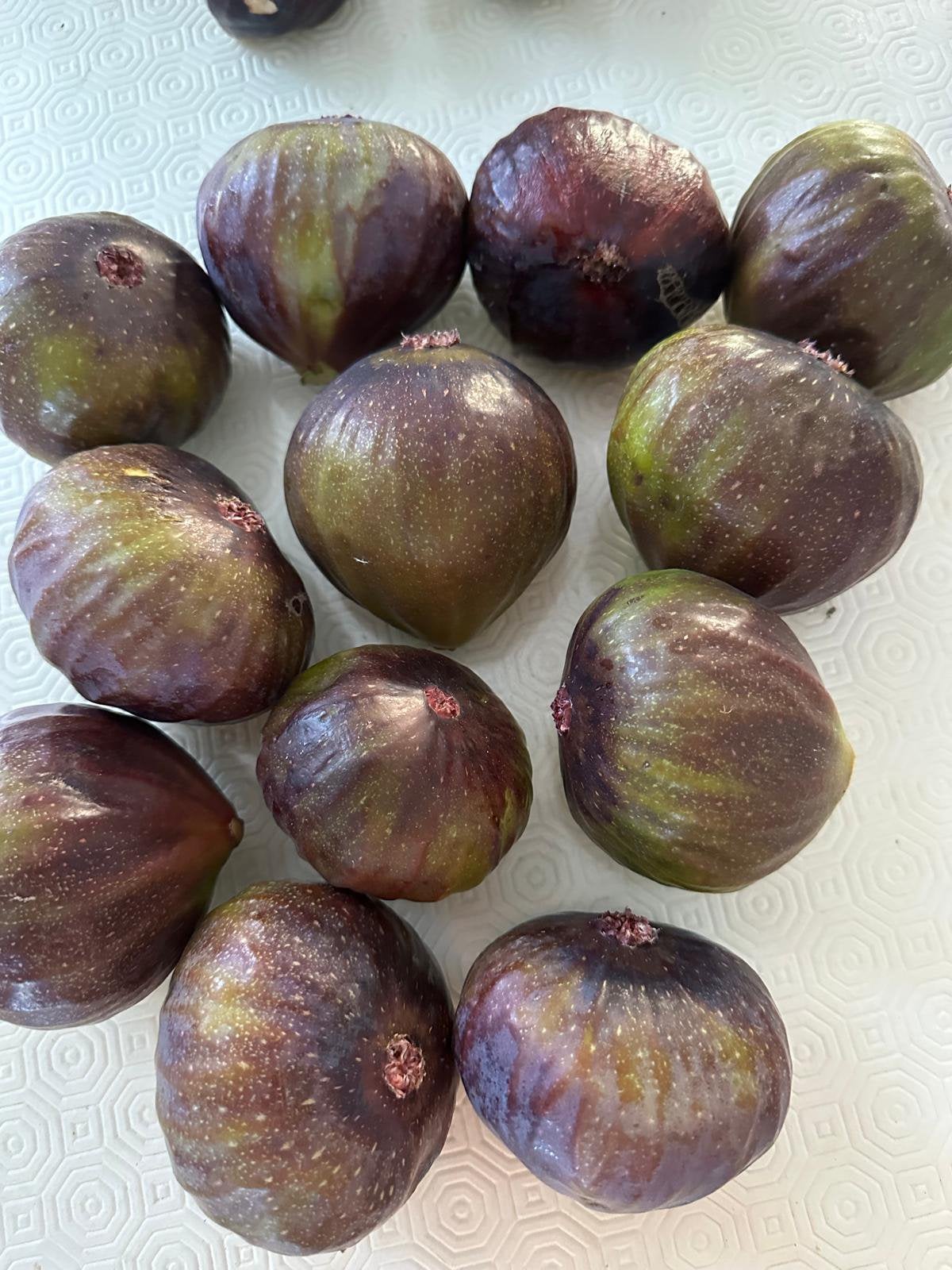 Vijgen vers, ophalen in Almere kilo prijs €7,50, Tuin en Terras, Planten | Fruitbomen, Ophalen, Minder dan 100 cm, Overige soorten
