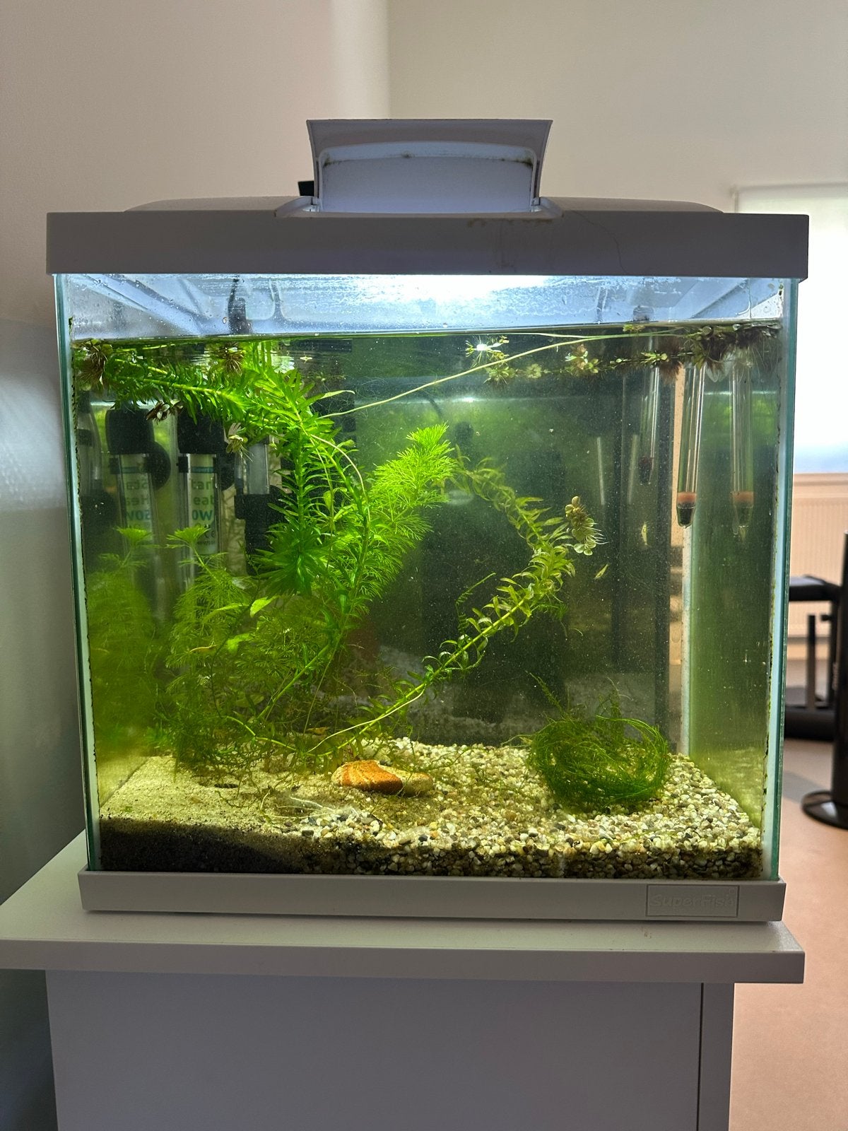 Compleet aquarium te koop - SuperFish Start 30 (25L), Ophalen, Zo goed als nieuw, Leeg aquarium