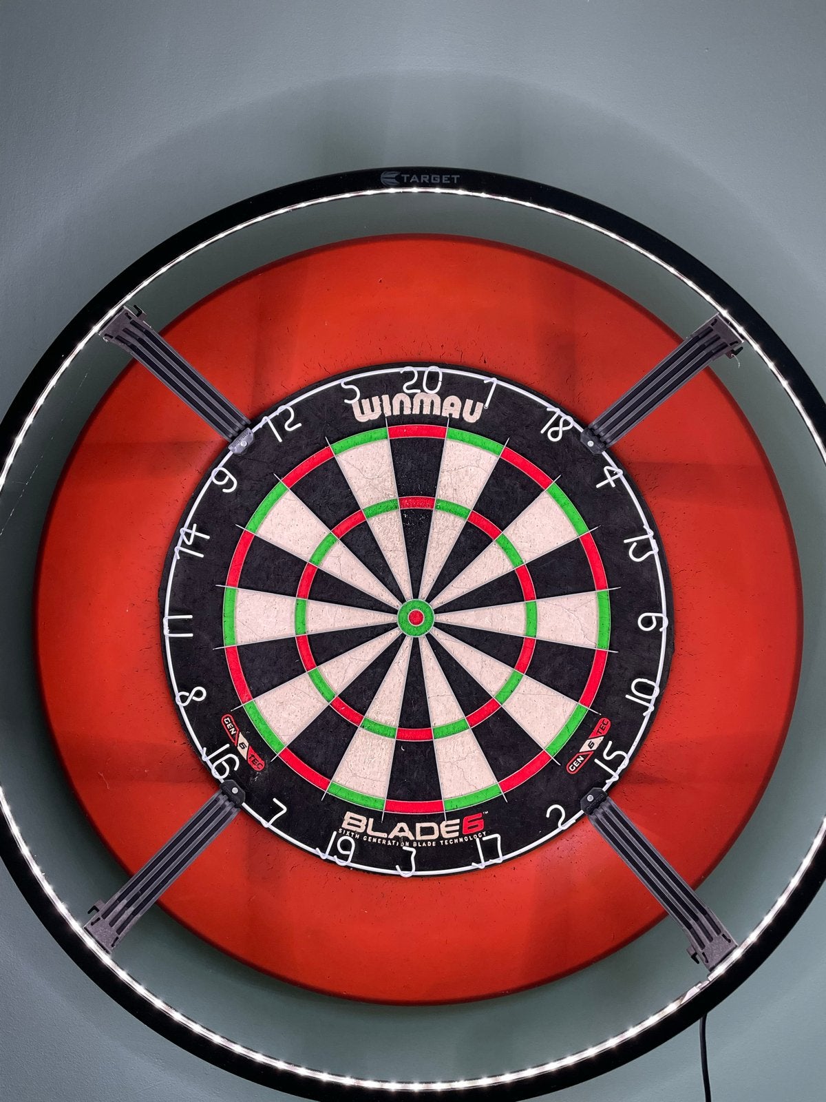 Dartbord met verlichting, surroundring en 2 matten, Sport en Fitness, Darts, Ophalen of Verzenden, Zo goed als nieuw, Dartbord met pijlen