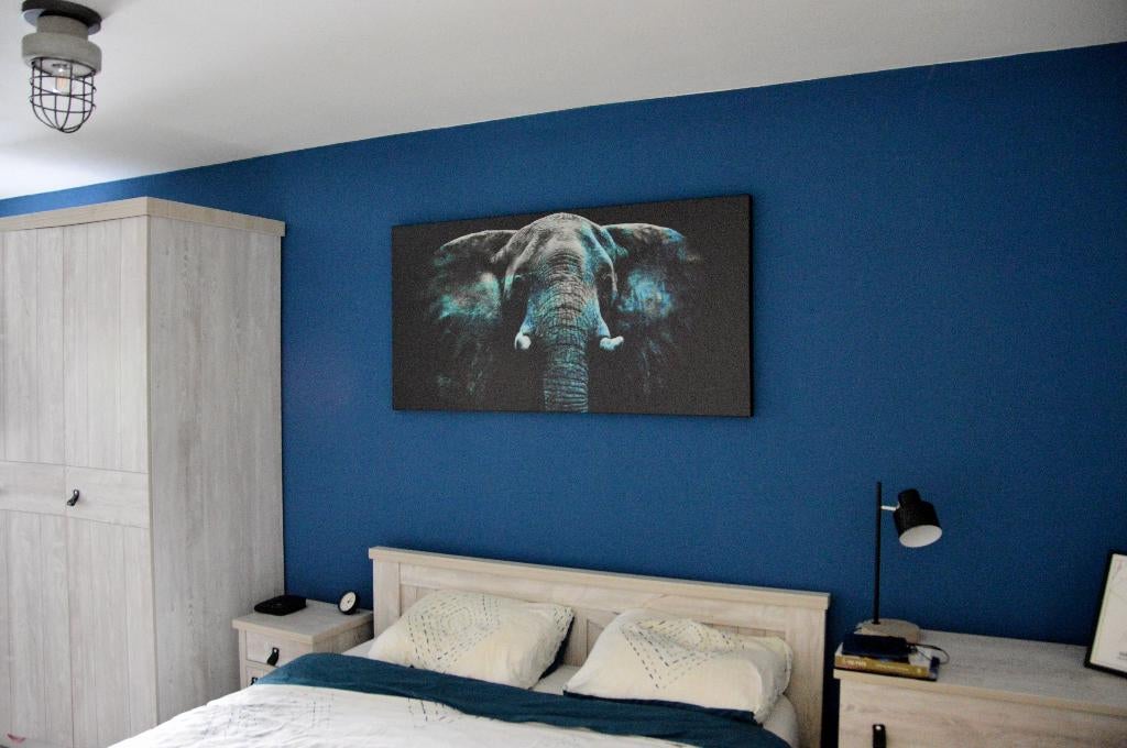 Fotokunst / schilderij olifant op canvas 70 x 140 cm, 50 tot 75 cm, 125 cm of meer, Ophalen of Verzenden, Zo goed als nieuw