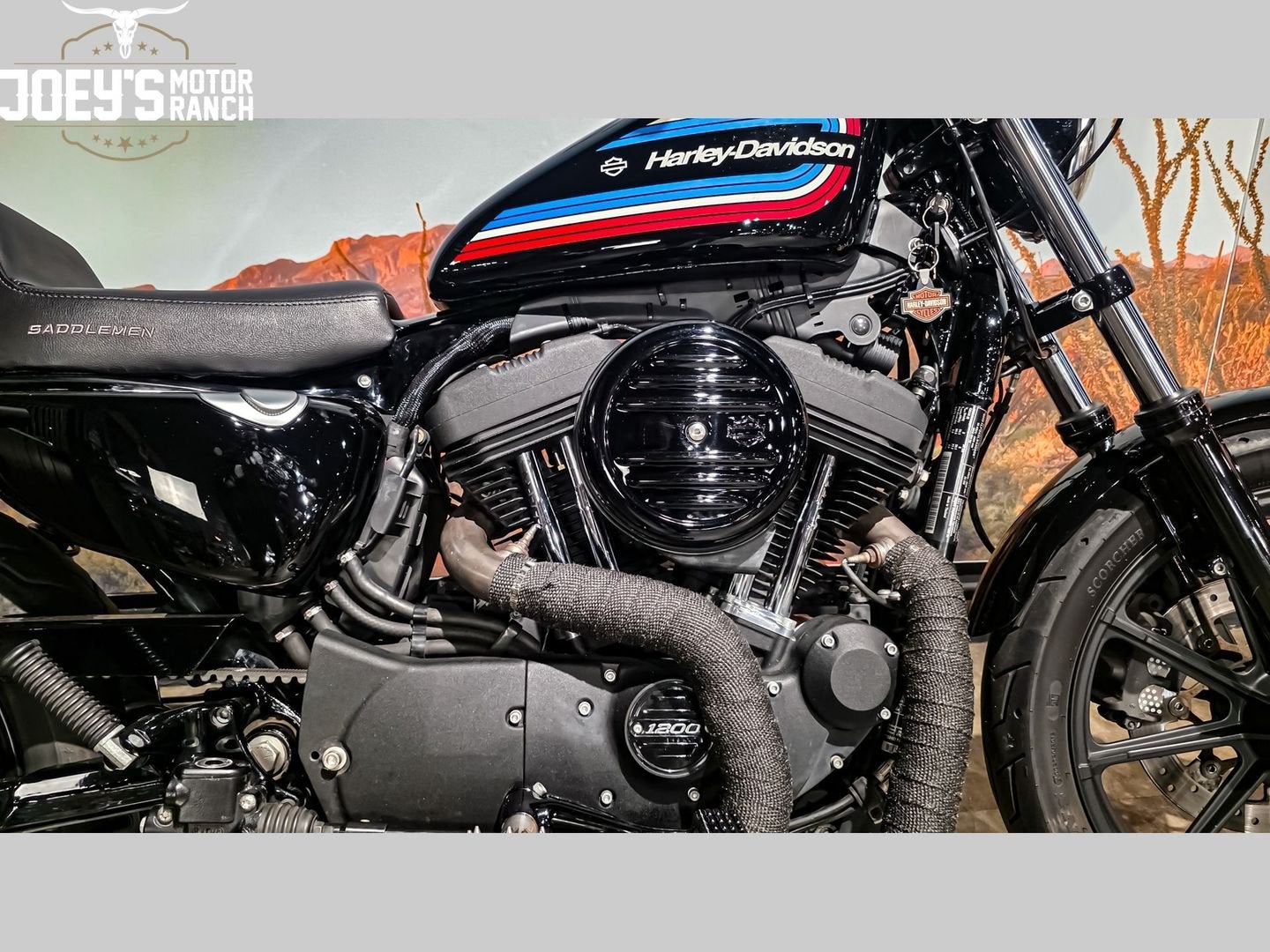 HARLEY-DAVIDSON SPORTSTER IRON 1200 XL 1200 NS (bj 2020), Motoren, Motoren | Harley-Davidson, 2 cilinders, HARLEY-DAVIDSON, Chopper