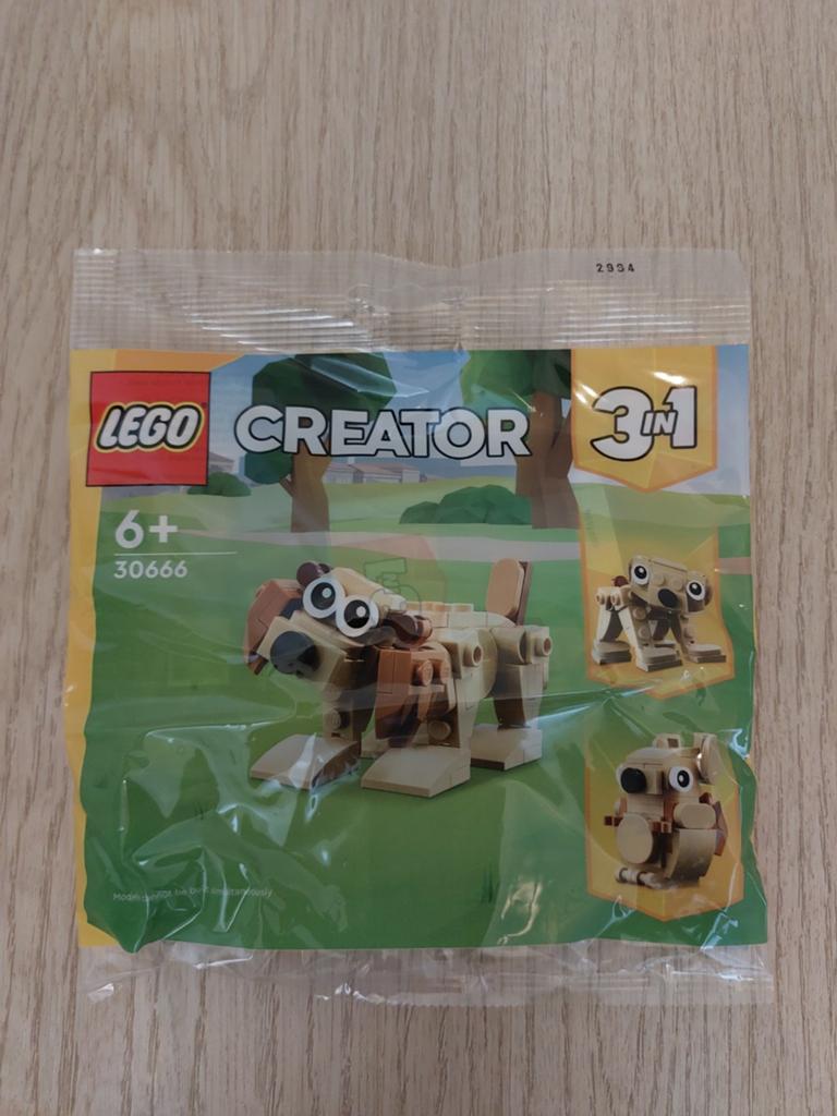 LEGO creator 3in1 30666, Ophalen