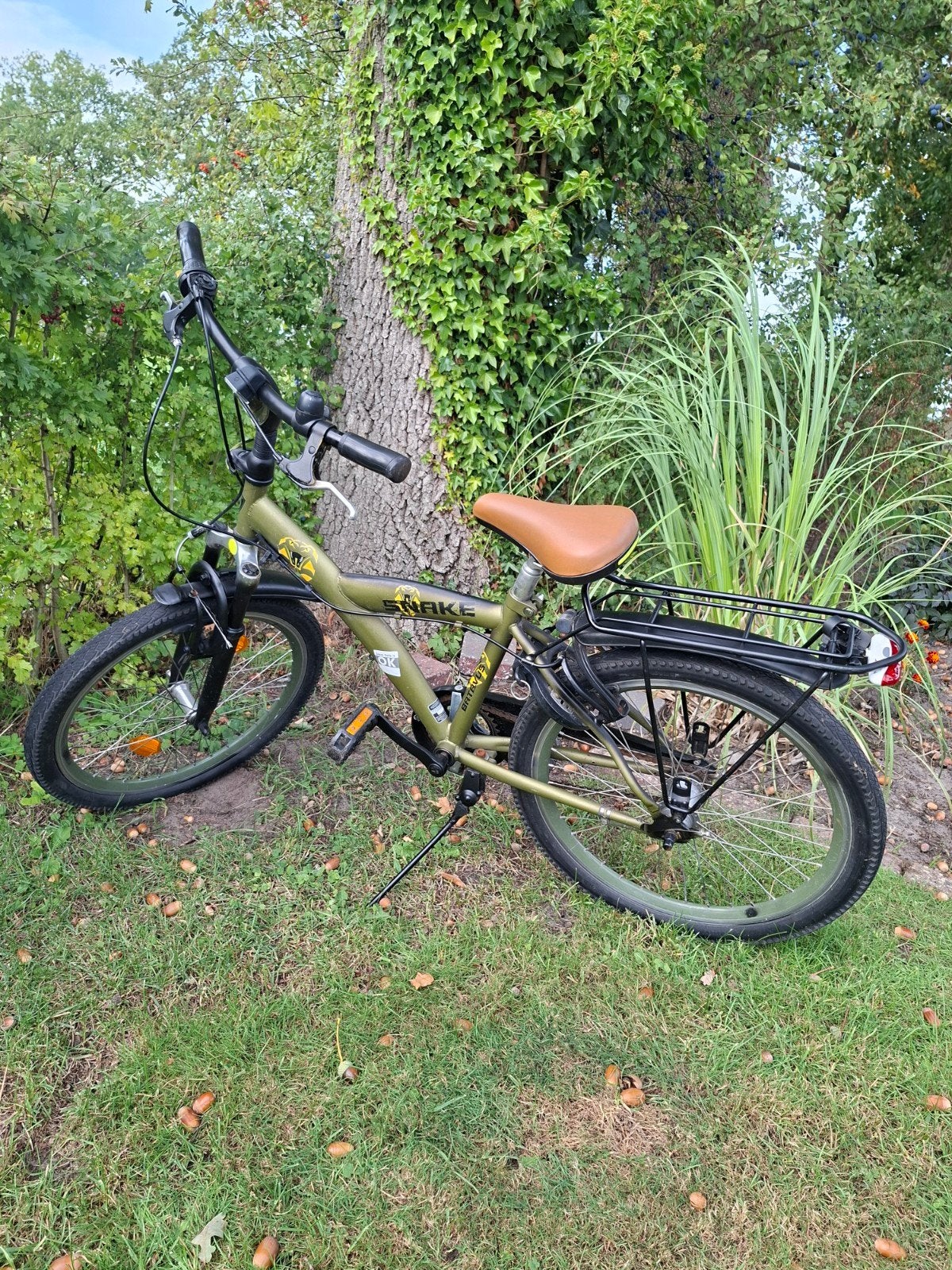 Batavus Snake jongensfiets - Gebruikt, goede staat, Ophalen, Terugtraprem, 22 inch, Gebruikt