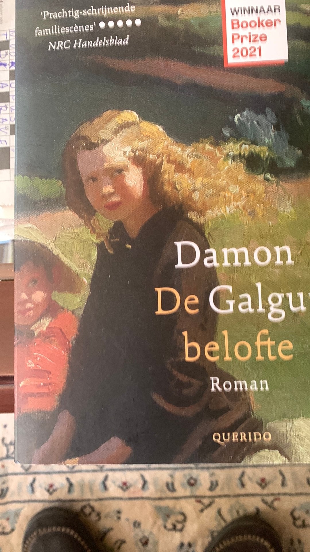 Damon Galgut - De belofte, Ophalen of Verzenden, Zo goed als nieuw, Damon Galgut