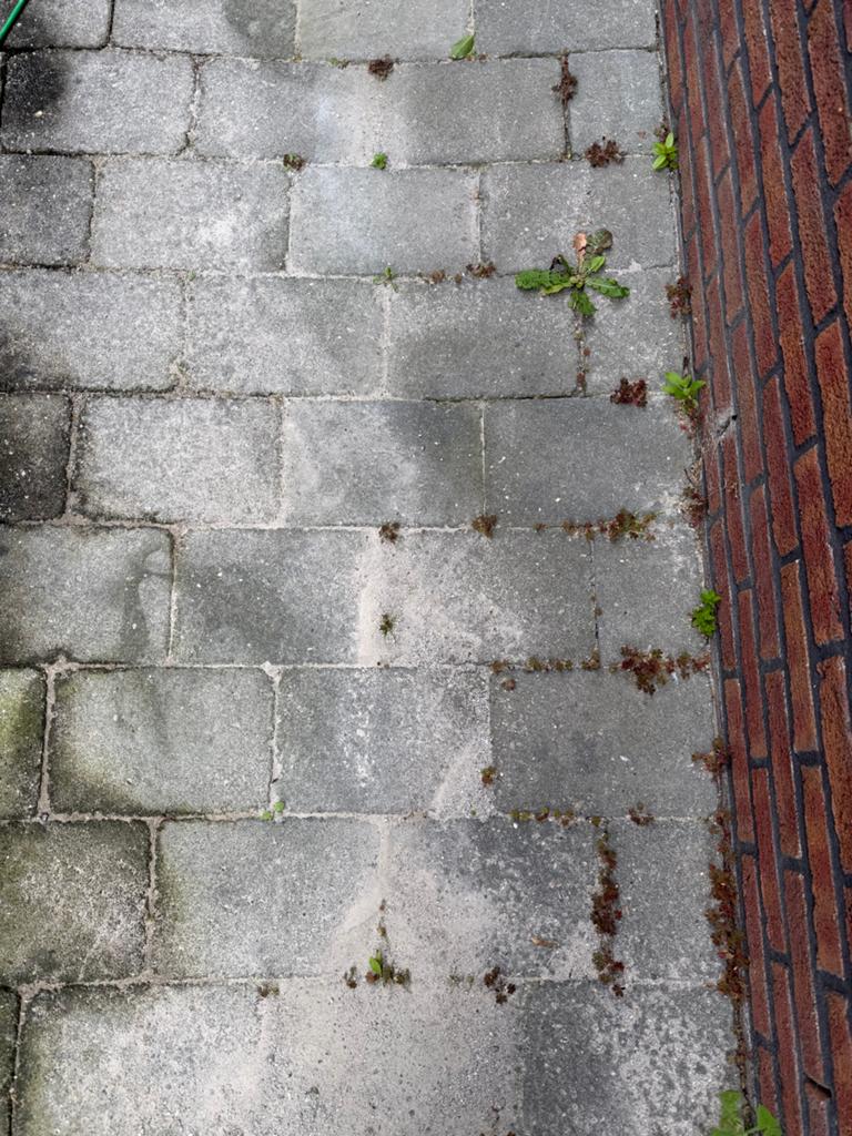 Gratis op te halen tuin tegels 20x30cm, Ophalen, Gebruikt, 10 m² of meer, Beton