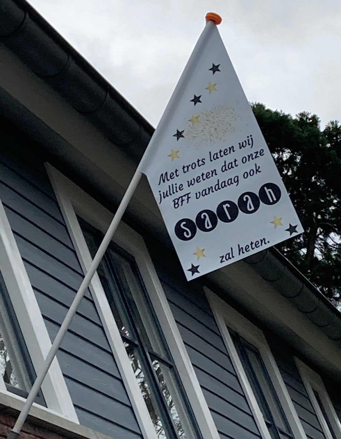 Sarah vlag, Ophalen of Verzenden, Zo goed als nieuw