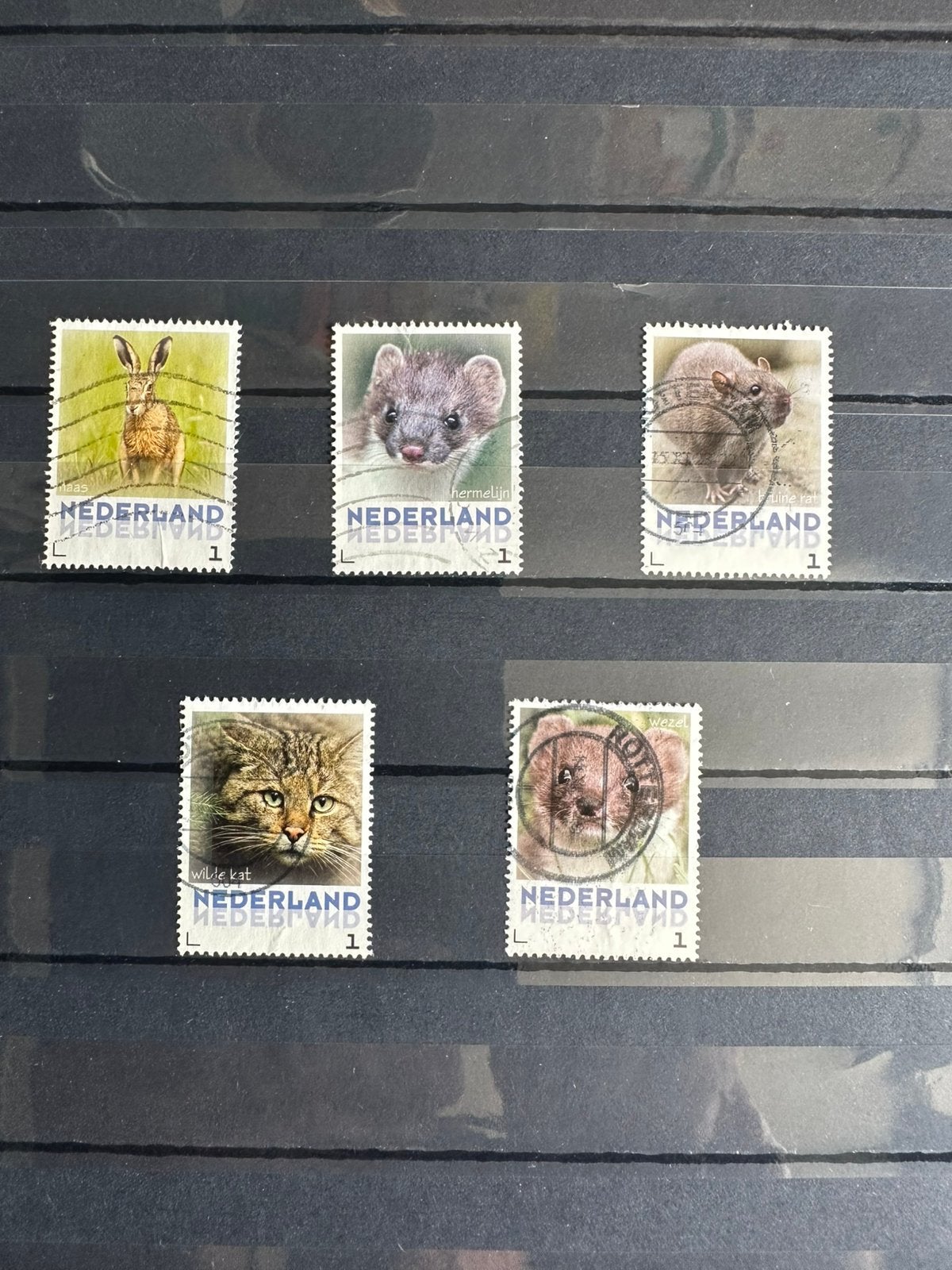 Nederland 5, Verzenden