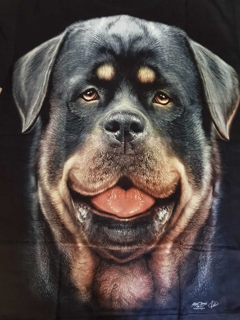 Print shirt, zwart, t-shirt, kleding, rottweiler, hond,, Ophalen of Verzenden, Nieuw, Overige maten, Zwart