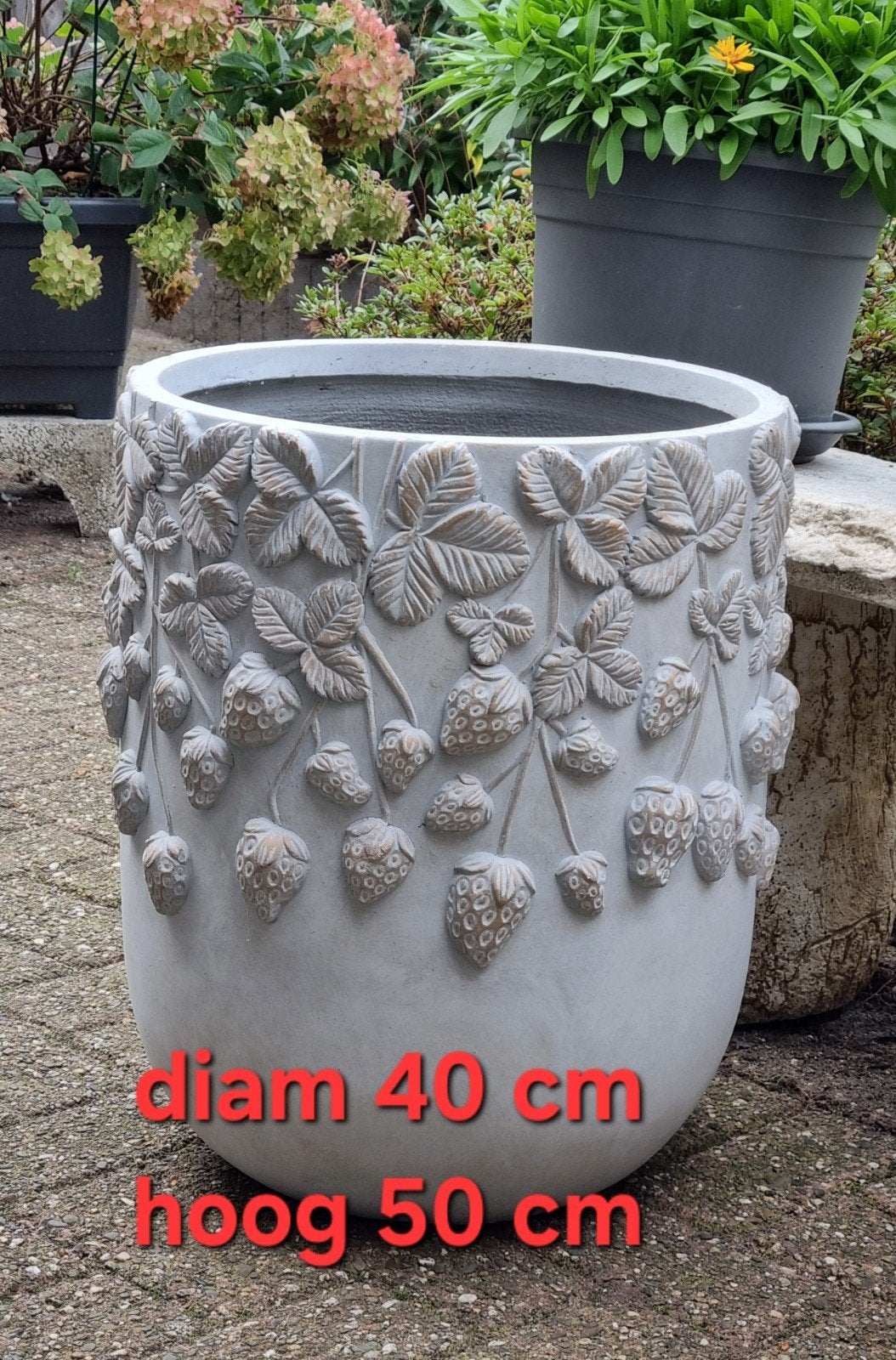 hele grote plantenbak, Tuin en Terras, Ophalen